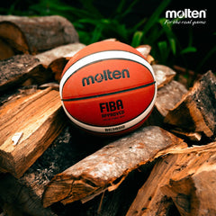 Molten BG3800 Series, Indoor/Outdoor Basketball,Size 7.6 2- Tone Design, Model: BG3800 Basketball